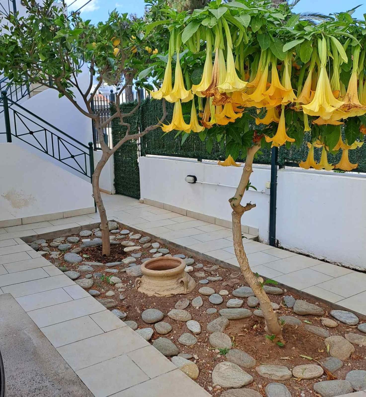 Vicky's Place,near Athens Airport Appartement
